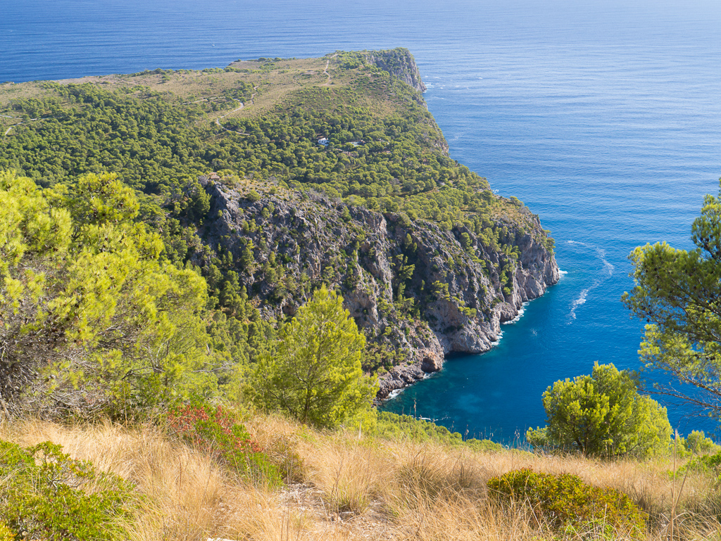 Cap del Pinar