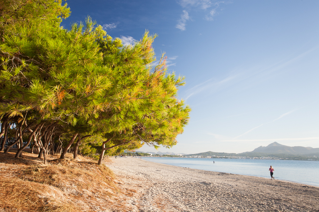 Platja d'Alcúdia