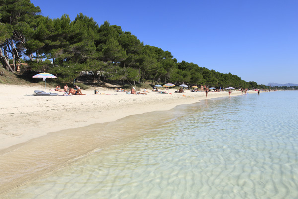 Platja d'Alcúdia (2)