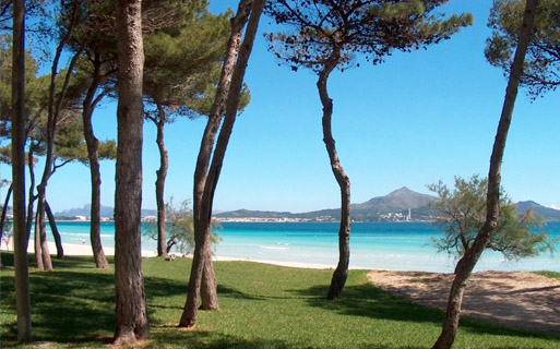 Platja d'Alcúdia