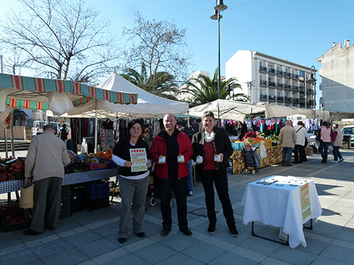 /ajuntament/ca/documentos/imatges_noticies/mercat-m.jpg