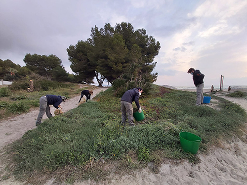 /ajuntament/ca/documentos/imatges_noticies/platja-francesos-m.jpg