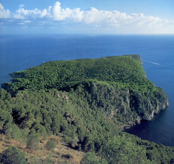 Cap des pinar